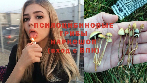 хмурый Алексеевка