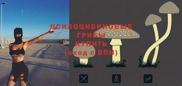 хмурый Алексеевка