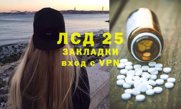 хмурый Алексин