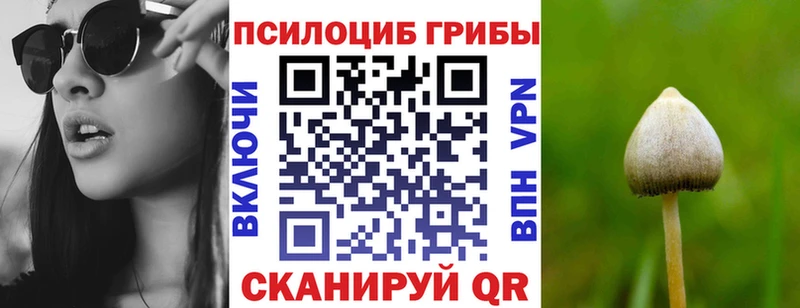 Псилоцибиновые грибы ЛСД OMG ONION Верхоянск где купить